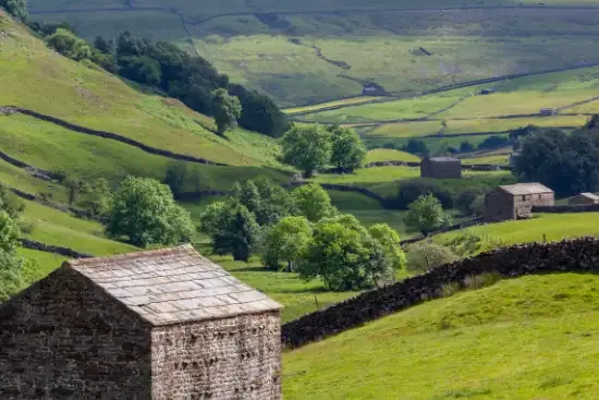 Stone field barns and dry-stone walls on a green Yorkshire Dales hillside